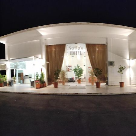 Sofias Hotel Ioannina Exterior foto
